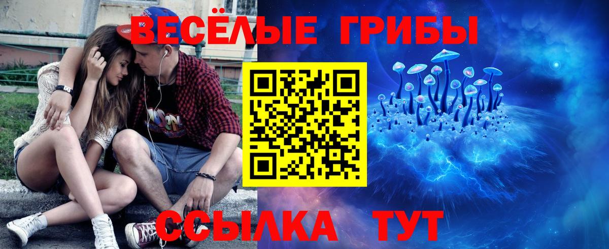 Псилоцибиновые грибы ЛСД  Вход с VPN  магазин продажи наркотиков  Новошахтинск  Псилоцибиновые грибы Psilocybe 