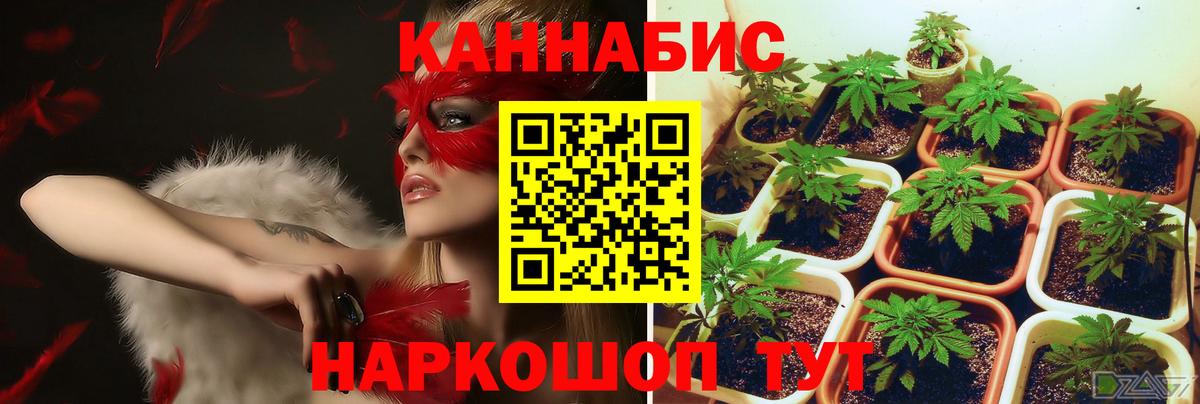 Марихуана индика Новошахтинск